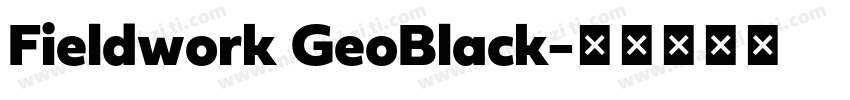 Fieldwork GeoBlack字体转换